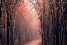 开云体育下载：[中超]第2轮：上海申花2-2北京国安 集锦.