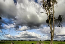 开云体育下载：三队确定资格！天津女排仍未晋级，战江西不容有失，考验陈方布阵.