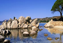 德天空：帕夫洛维奇正在努力复出，队医持续关注他以避免风险.